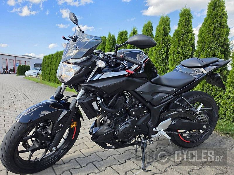 Yamaha MT-03 (2017) - fotka 10 z 15