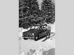Škoda 445.