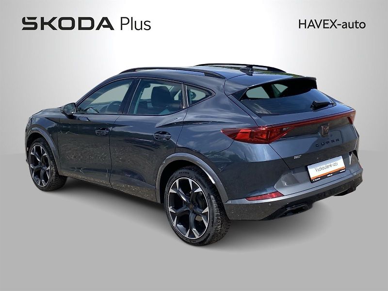 Cupra Formentor (2024) 2,0 TSI 4Drive DSG - fotka 29 z 30