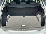 Volkswagen Tiguan 2,0 TDI 110 kW DSG Life - náhled 20