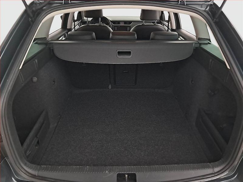 Škoda Octavia (2016) 1.6 TDI, Kůže, Navi, Bi-Xenony - fotka 13 z 20