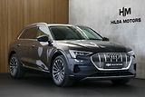 Audi e-tron 55 300kW Matrix Softclose HUD - náhled 1