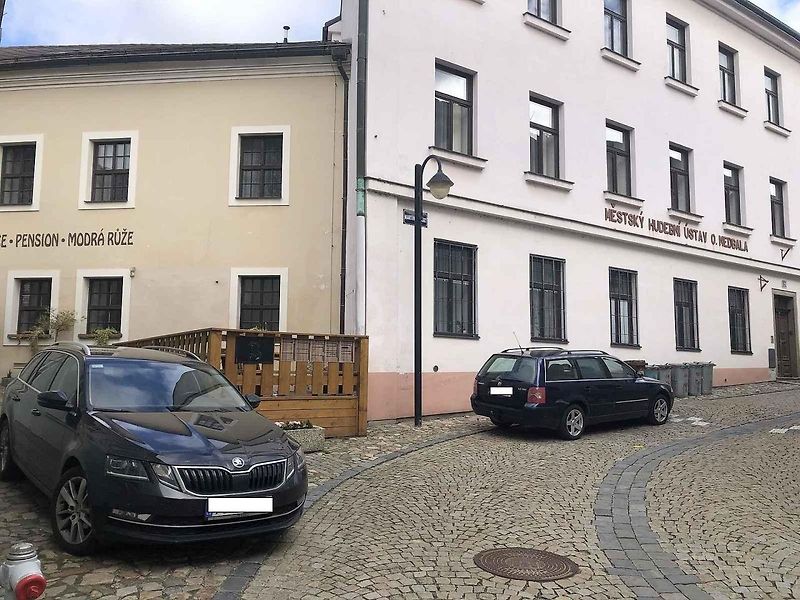 Tzv. AutoMatky, Adélu Doušovou, Barboru Tůmovou a Karolínu Koubovou, dlouhodobě trápí nedostatek bezpečnosti pro pěší v lokalitě Starého města, která je obytnou zónou. Řidiči například opakovaně překračují povolenou rychlost, jsou neohleduplní a parkují m