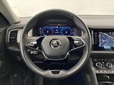 Škoda Kodiaq 2,0 TDI 110kW DSG 4x4 Style Pl - náhled 10