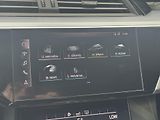 Audi e-tron (2020) Quattro 230kW Advanced, PANO - náhled 38
