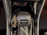 Škoda Kodiaq (2023) 2.0 TSI 140 kW DSG 4x4 Sportli - náhled 18