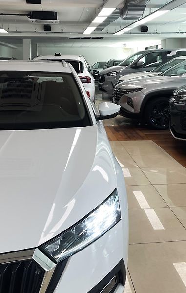 Škoda Octavia 1.5 TGI G-TEC, STYLE, DSG, ČR - fotka 24 z 29