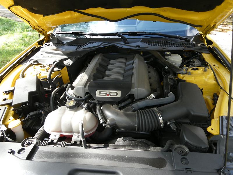 Ford Mustang (2015) kabriolet - fotka 19 z 36