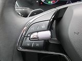 Škoda Octavia 2,0 TDI Ambition DSG LED ČR - náhled 16
