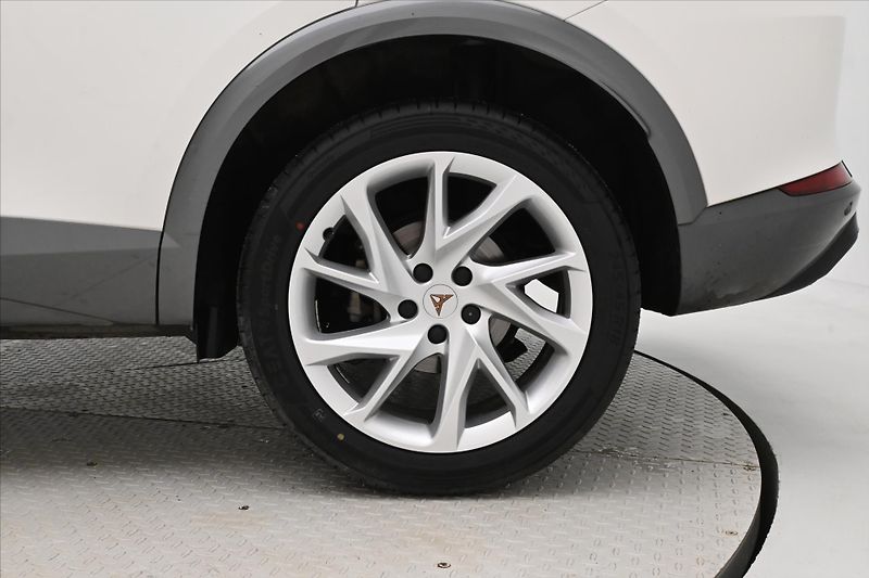 Cupra Formentor 2,0 TDI 110kW DSG 4x4 Záruka a - fotka 31 z 31