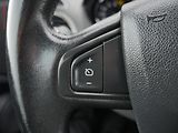 Renault Mégane (2014) 1.2 TCe, ČR, AC, temp - náhled 12