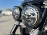 Triumph (2026) - náhled 6