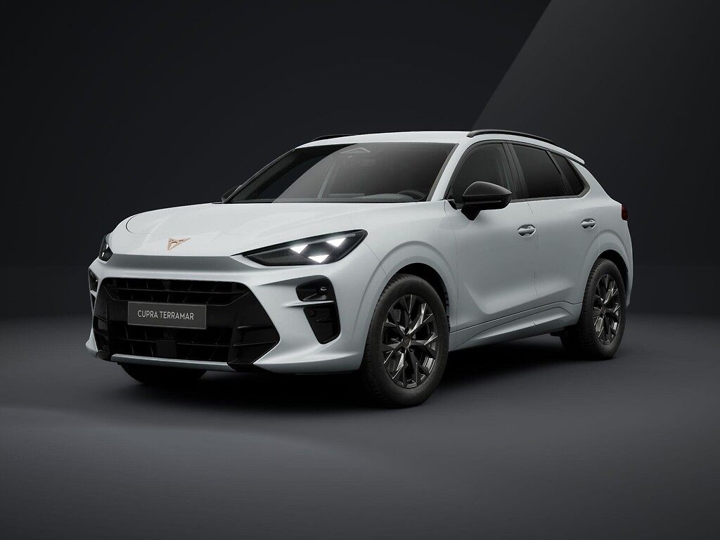 Cupra Terramar 1.5eTSI 110kW DSG