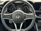 Alfa Romeo Stelvio (2018) 2.0 T 206 KW Q4 AT ZF8 SUPER - náhled 16