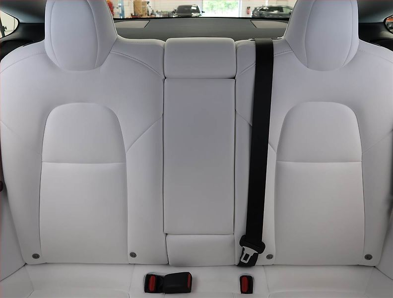 Tesla Model 3 (2021) Std Range Plus 55kWh, SoH 85% - fotka 10 z 32