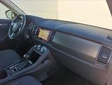 Škoda Kodiaq 2,0 TDi 4x4 DSG 7.míst Navi - náhled 30