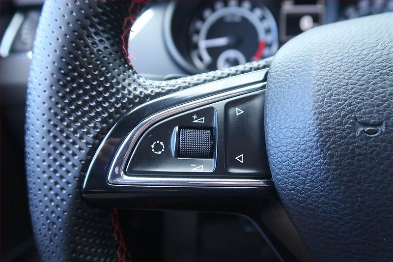 Škoda Octavia (2015) RS 2.0 TDI, Automat - fotka 17 z 22