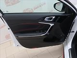 Kia ProCeed 1,6 T-GDI GT 150KW CZ TOP STAV - náhled 10