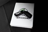 Škoda Octavia 2.0 TDI DSG*ACC*PO ROZVODECH* - náhled 27