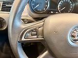 Škoda Rapid 1.2 TSi 77Kw Ambition fresh - náhled 11