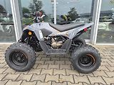 Linhai ATV 100 LH (2026) ATV 110 - náhled 8