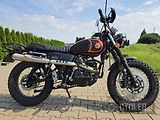 Ostatní (2023) Tempest Scrambler 125 - náhled 3