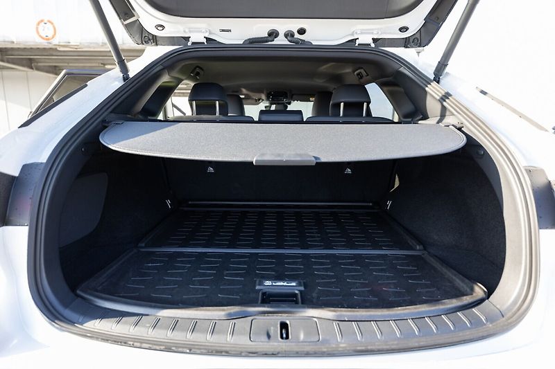 Lexus RX 450h plus 450H+ 2,5 PHEV EXECUTIVE PLUS - fotka 26 z 29