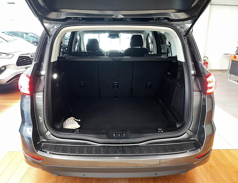Ford S-MAX Titanium 2,0Ecoblue 110kW - fotka 8 z 30