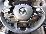 Škoda Karoq (2024) Top Selection 2,0 TDI 110kW DS - náhled 18