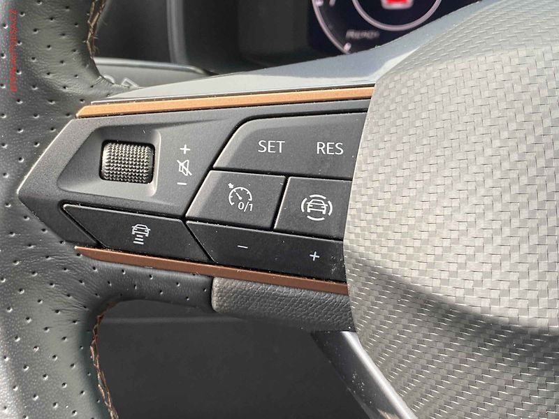 Cupra Formentor (2022) 2.0 TDi, Navi, LED - fotka 13 z 17