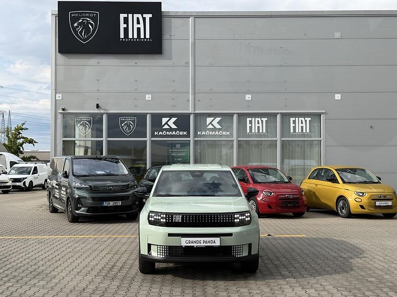 Fiat Grande Panda (2026) Icon 1.2 Turbo 100k - fotka 8 z 24