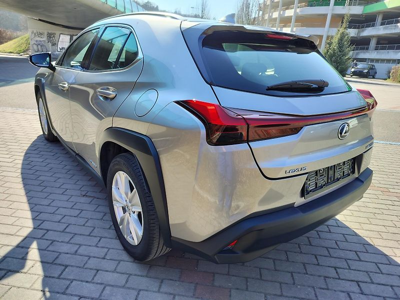 Lexus UX 250h BUSINESS edition,alcantara - fotka 5 z 25