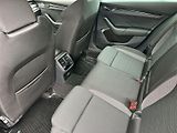 Škoda Octavia (2024) Combi 2.0 TDI 4x4 DSG Fresh - náhled 7