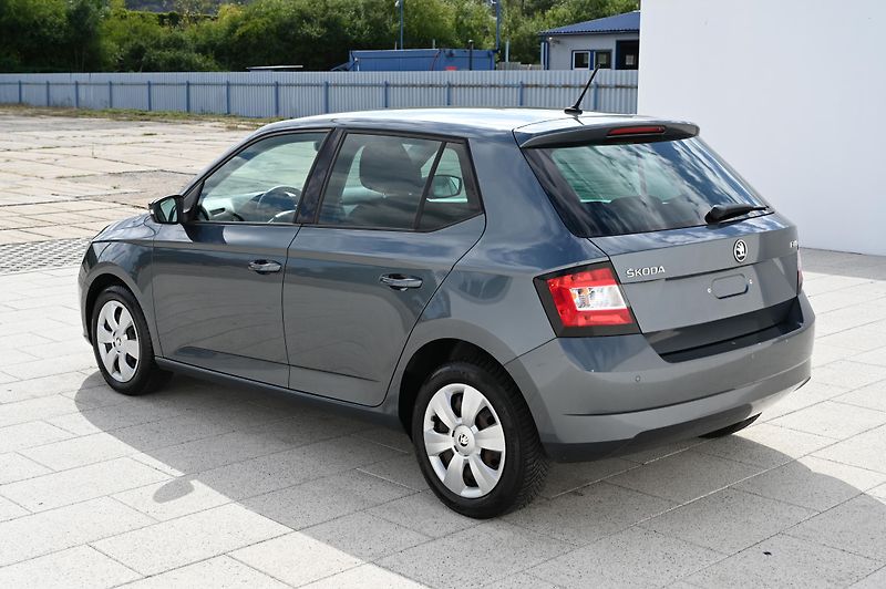 Škoda Fabia 1.2TSI 81KW DSG Ambition 5/16 - fotka 7 z 49