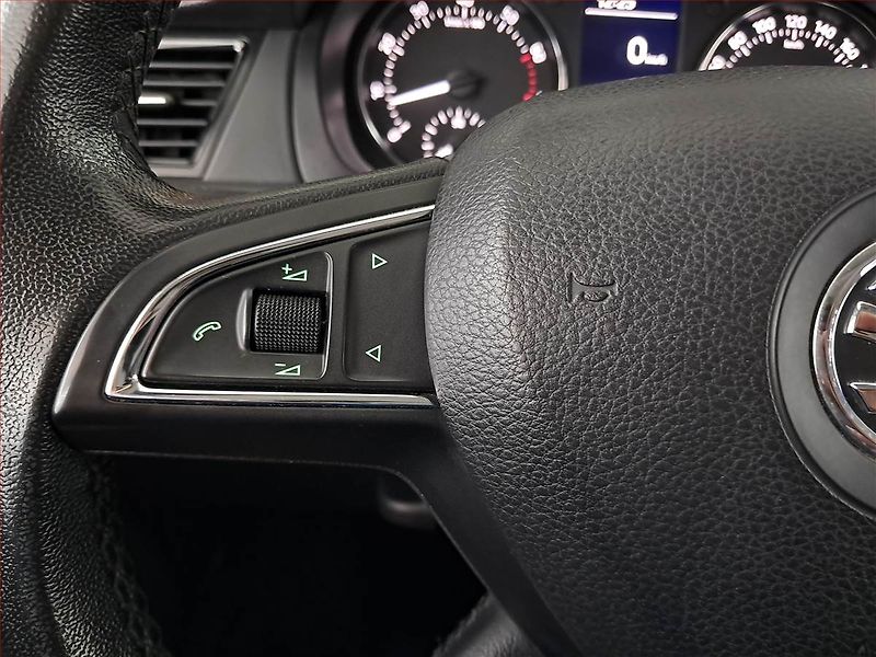 Škoda Rapid (2013) 1.2 TSI, ČR,1.maj - fotka 17 z 18