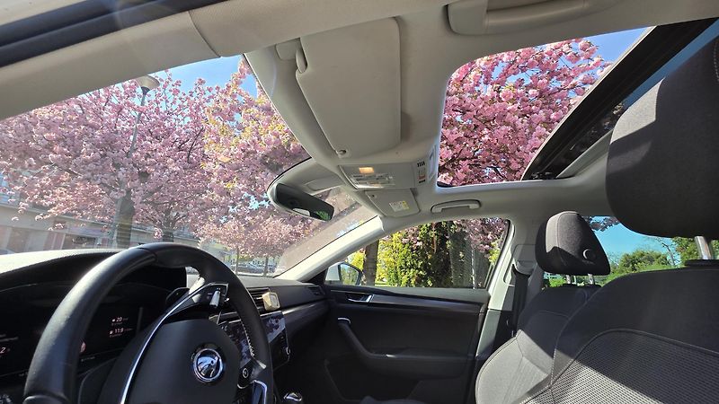 Škoda Superb (2021) 1.5 TSI DSG Style Panorama - fotka 5 z 11