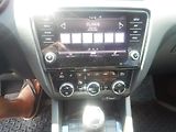 Škoda Octavia 1.6 TDI 85 KW DSG - náhled 12