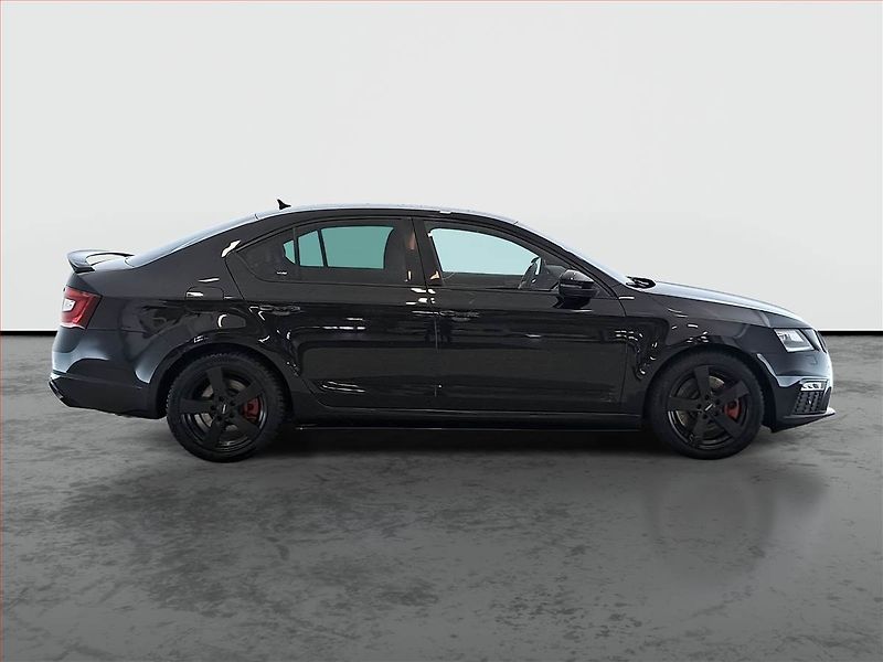 Škoda Octavia (2018) RS 2.0 TSI, Kůže, Navi - fotka 6 z 19
