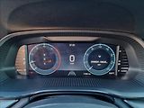 Škoda Octavia 2.0 TDI DSG,původ ČR,1.Maj - náhled 22