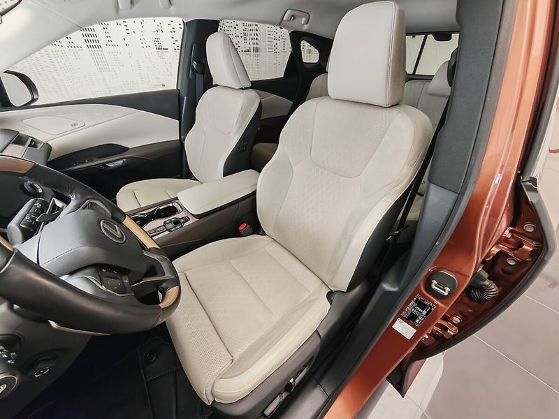 Lexus RX 450h plus RX 450h+ Luxury - fotka 17 z 50