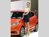 Přibližně osmdesát tisíc návštěvníků prošlo v roce 2013 branami brněnského výstaviště na veletrh Autosalon.