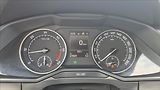 Škoda Superb 2,0 TDi 140 KW DSG STYLE ČR - náhled 14