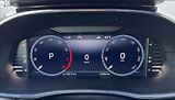 Škoda Fabia 1,0 TSi,81kW,STYLE,DSG,DPH - náhled 14