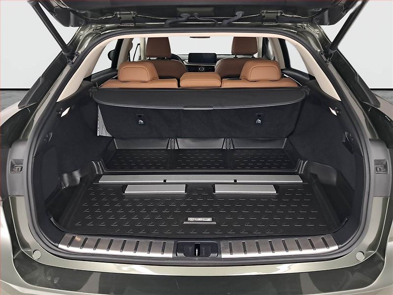Lexus RX 400h (2022) 300 AWD - fotka 14 z 24