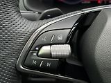 Škoda Karoq 2.0TDi 4x4 DSG 150PS Sportline - náhled 19