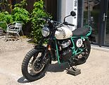 Royal Enfield (2026) Bear 650 TWO FOUR NINE - náhled 10