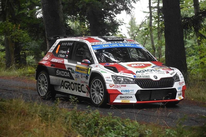 Jediný existující exemplář nové Fabie WRC stál při 
