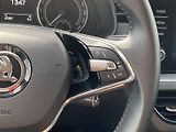 Škoda Scala (2023) 1.0 TSI DSG Ambition - náhled 15