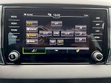 Škoda Karoq (2025) 2.0 TDI 110kW 4x4 DSG Top Sele - náhled 19