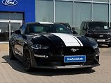 Ford Mustang 5,0 GT V8 330kW 55YearsEdition - náhled 7